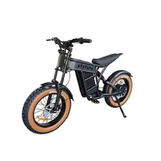 경량 전기 오토바이의 최대 적재 용량은 얼마입니까?